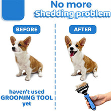 Load image into Gallery viewer, Grooming Brush/Fur Remover for Pets
